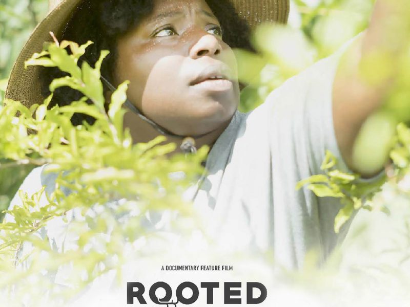rooted film
